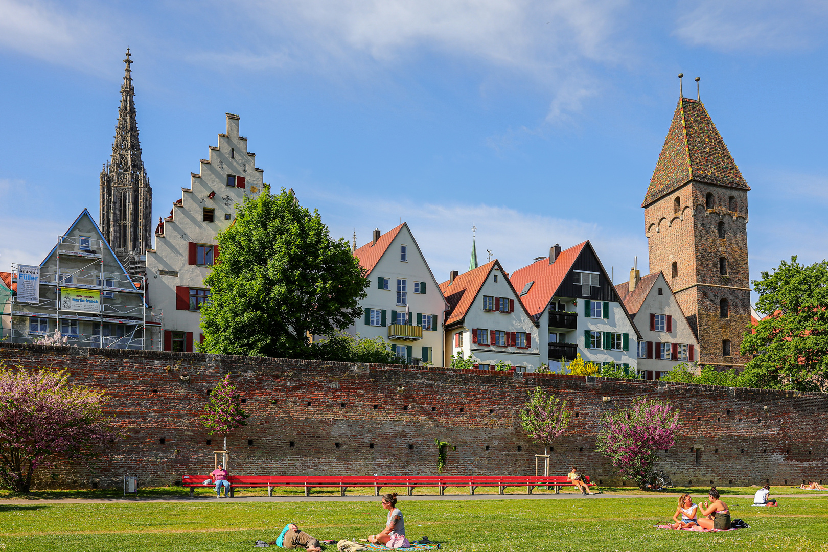 Die Ulmer Stadtmauer