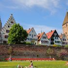 Die Ulmer Stadtmauer