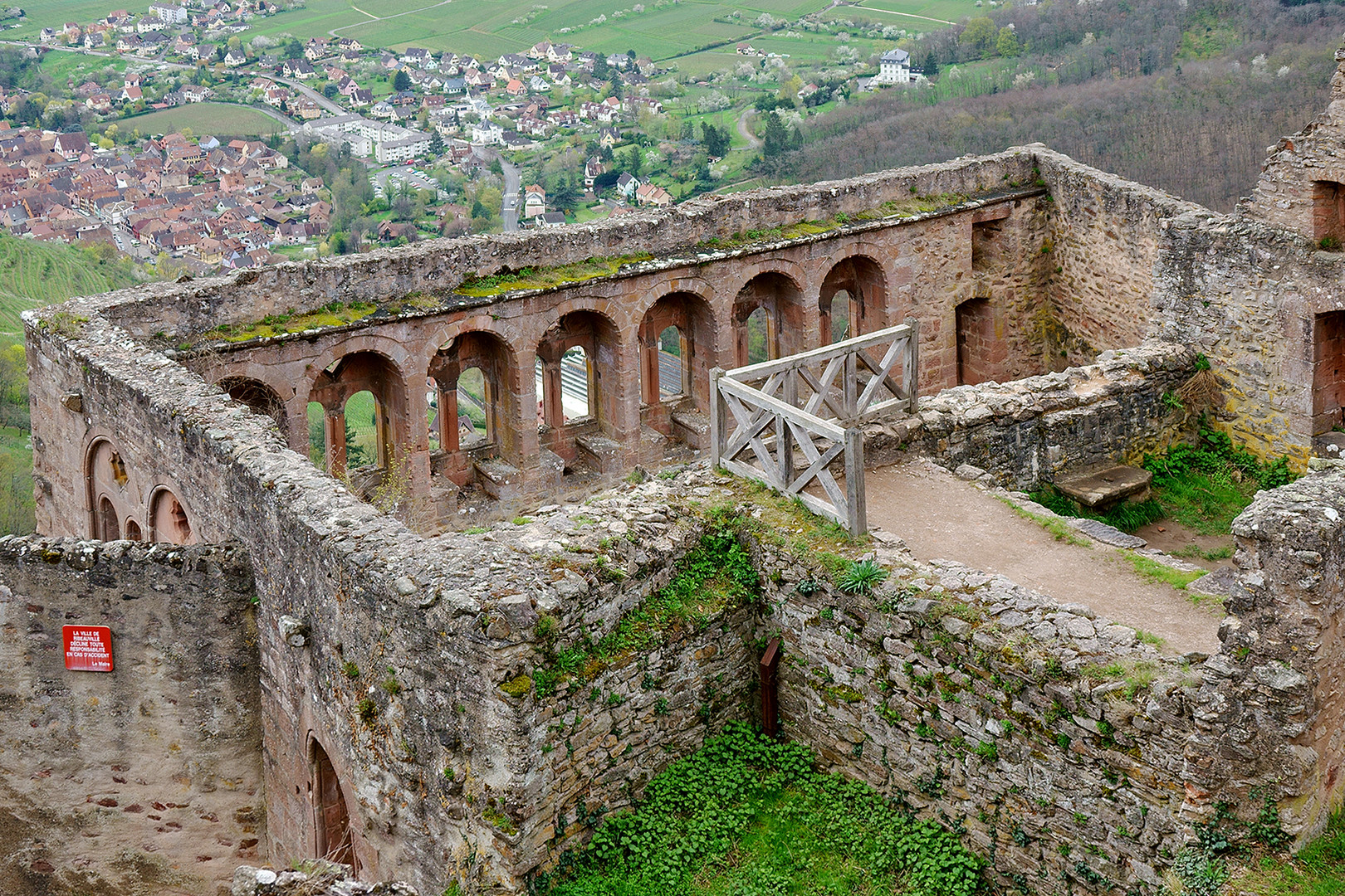 die Ulrichsburg hoch über Rappoldsweiler