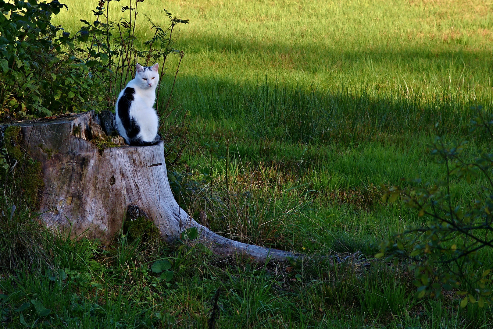 Die Umgebung im Blick