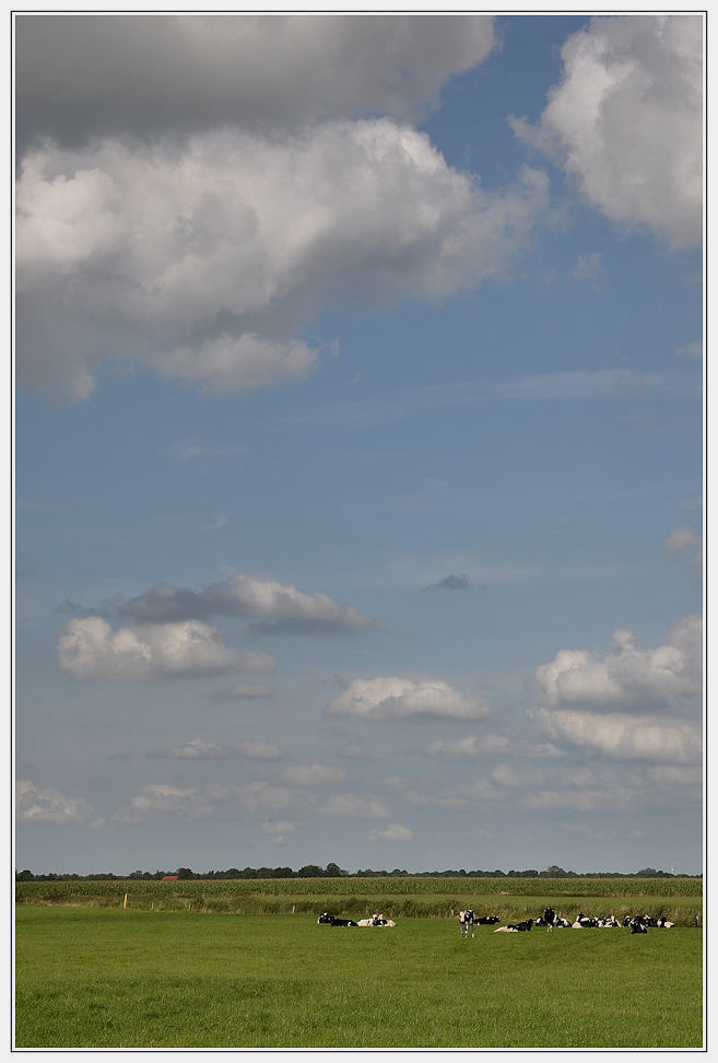 Die unendliche Weite Ostfrieslands 2