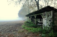 Die unendlichen Weiten Frieslands