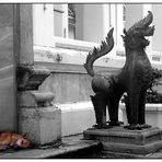 Die ungleichen Wächter - Wat Pho, Bangkok