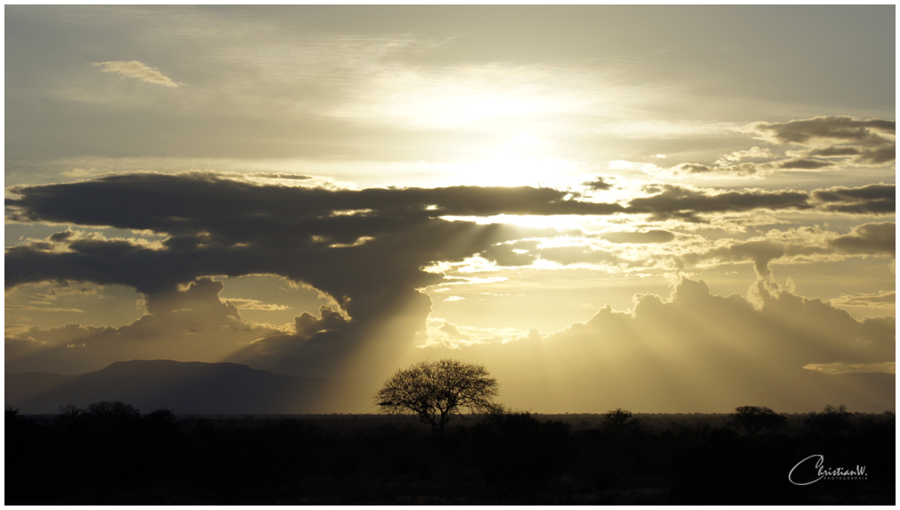 Die unheimliche Stille und Zauber des Abendlichen Sonnenlichtes im Tsavo Nationalpark