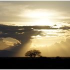 Die unheimliche Stille und Zauber des Abendlichen Sonnenlichtes im Tsavo Nationalpark