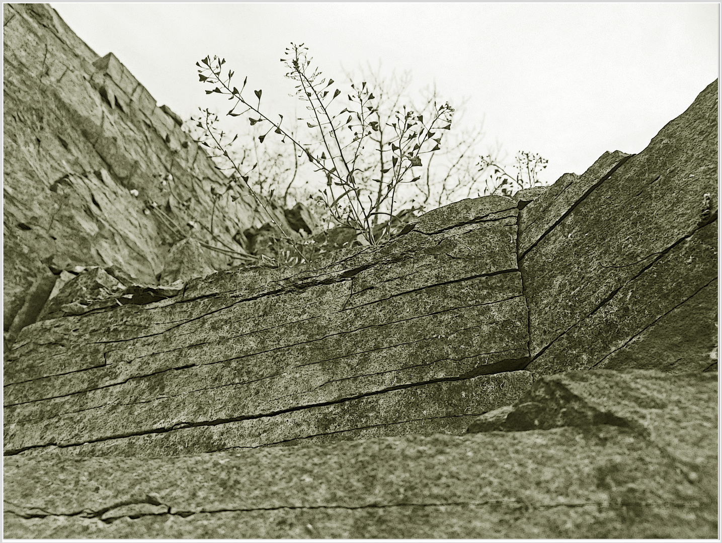 Die unsichtbaren Felsen