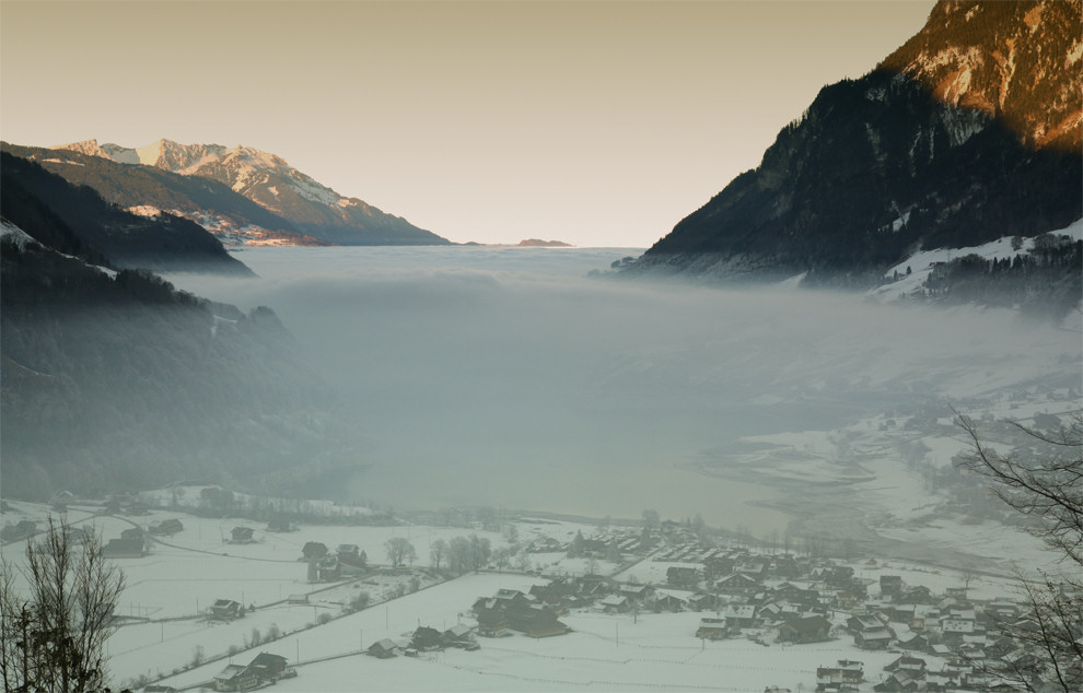 ... die unter dem Nebel leben