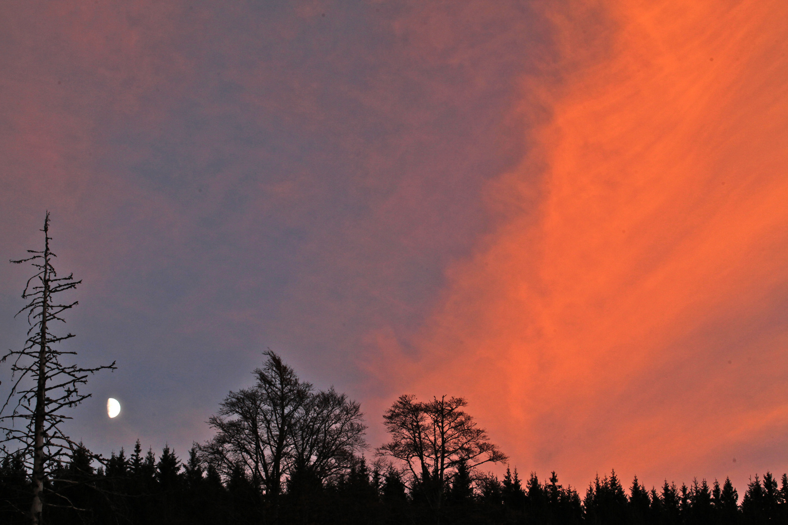 Die untergehende Sonne färbt den Chemtrail rot