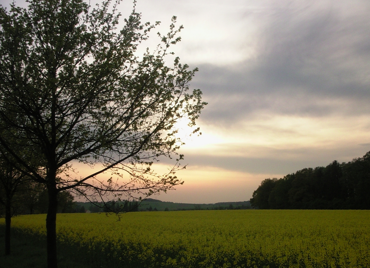 Die untergehende Sonne zaubert Farbspektakel an unseren Himmel.