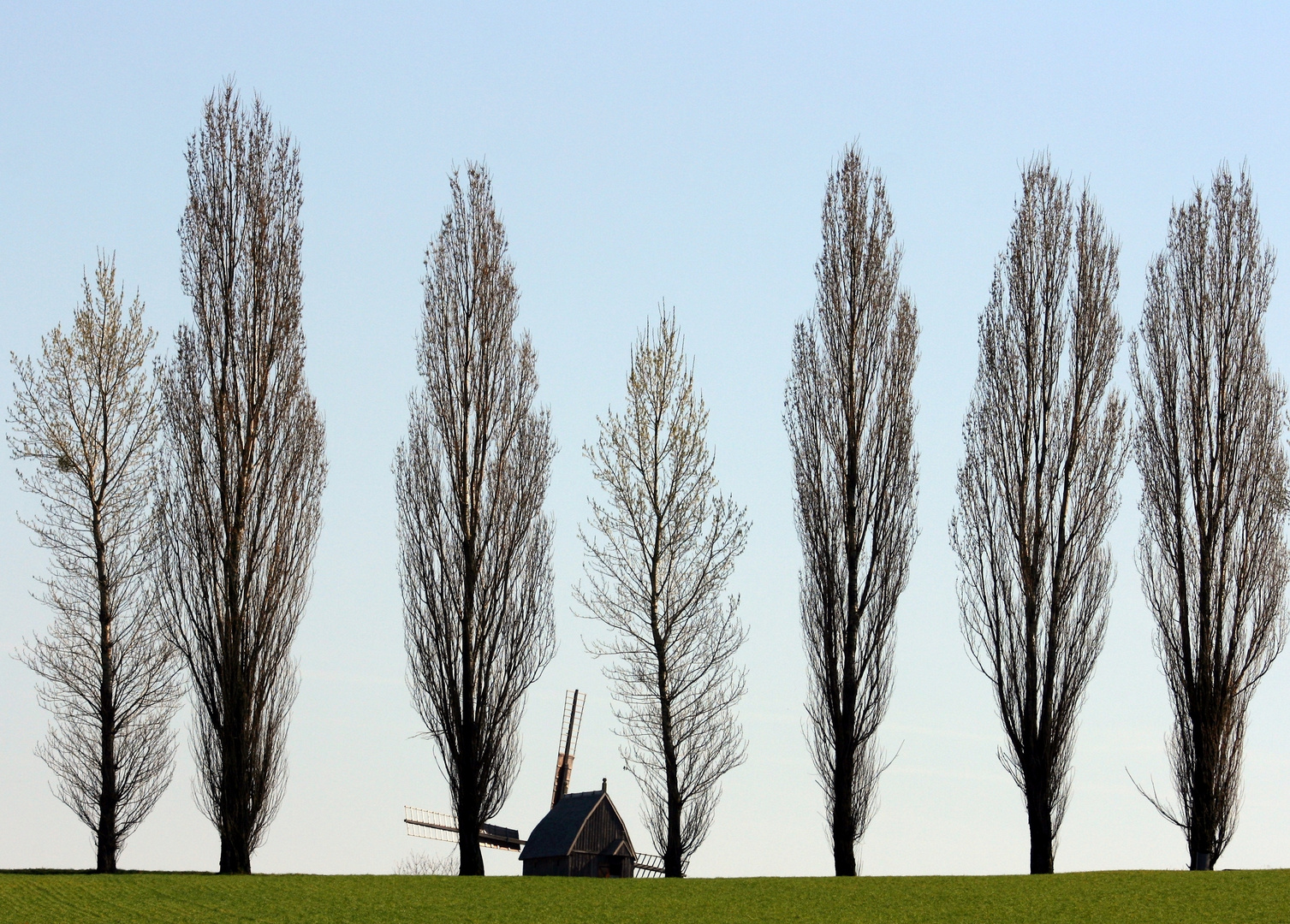 Die untergehende Windmühle