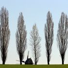 Die untergehende Windmühle