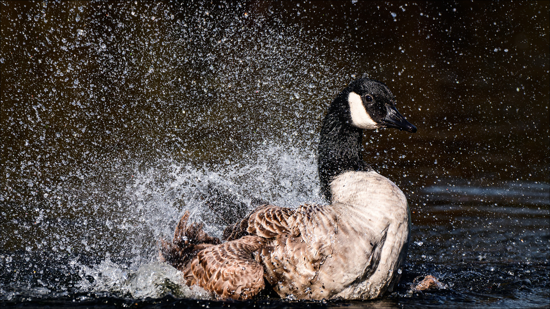 Die Unterwasser-Explosion