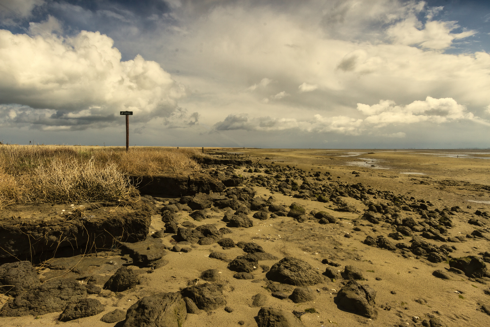 Die uralte Wattküste von Ameland