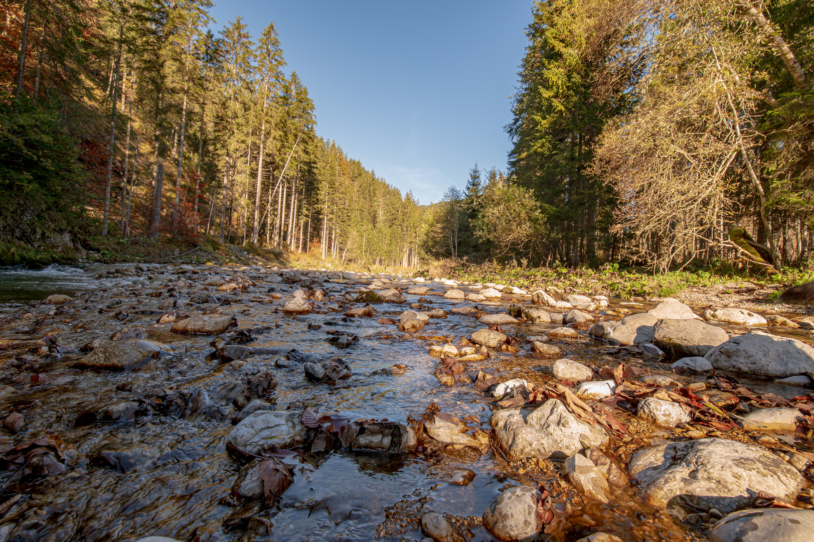 Die Valepp in der Nähe des Spitzingsee