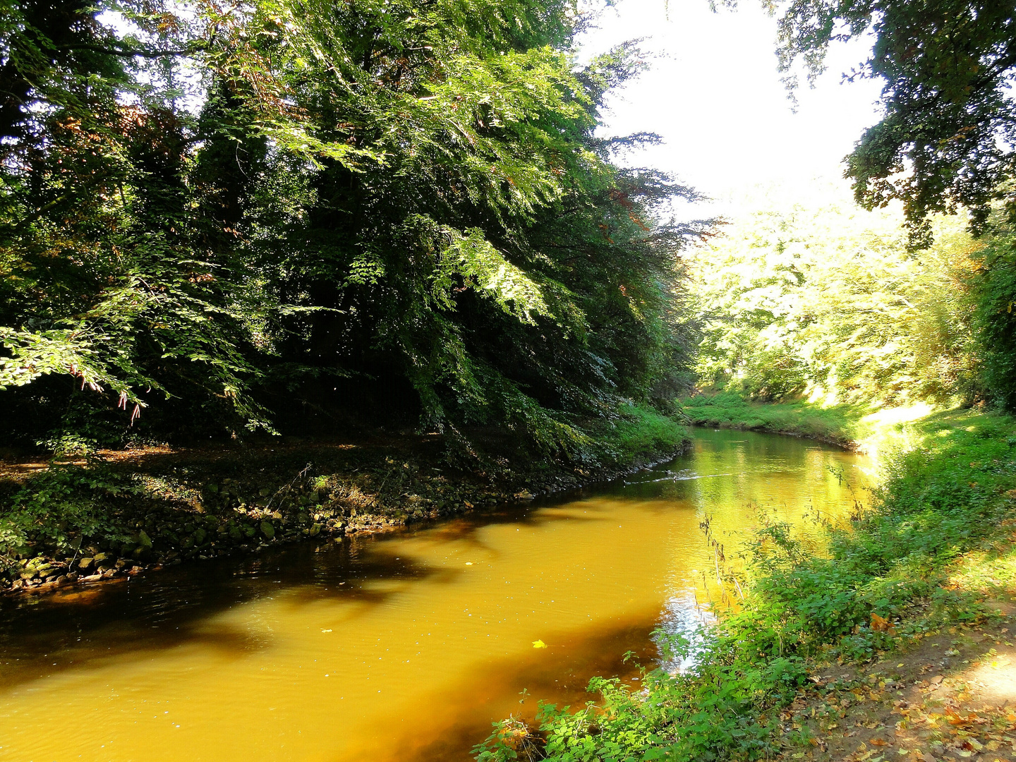 Die Vechte im Herbst in Nordhorn