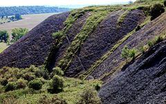 Die Vegetation erobert sich das taube Gestein - Mansfelder Land