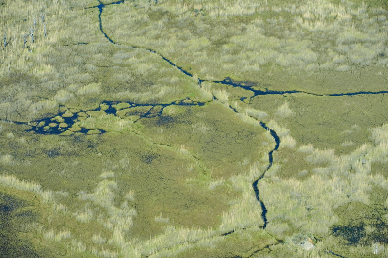 Die Venen des Okavango