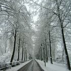 Die vereiste Promenade in Münster