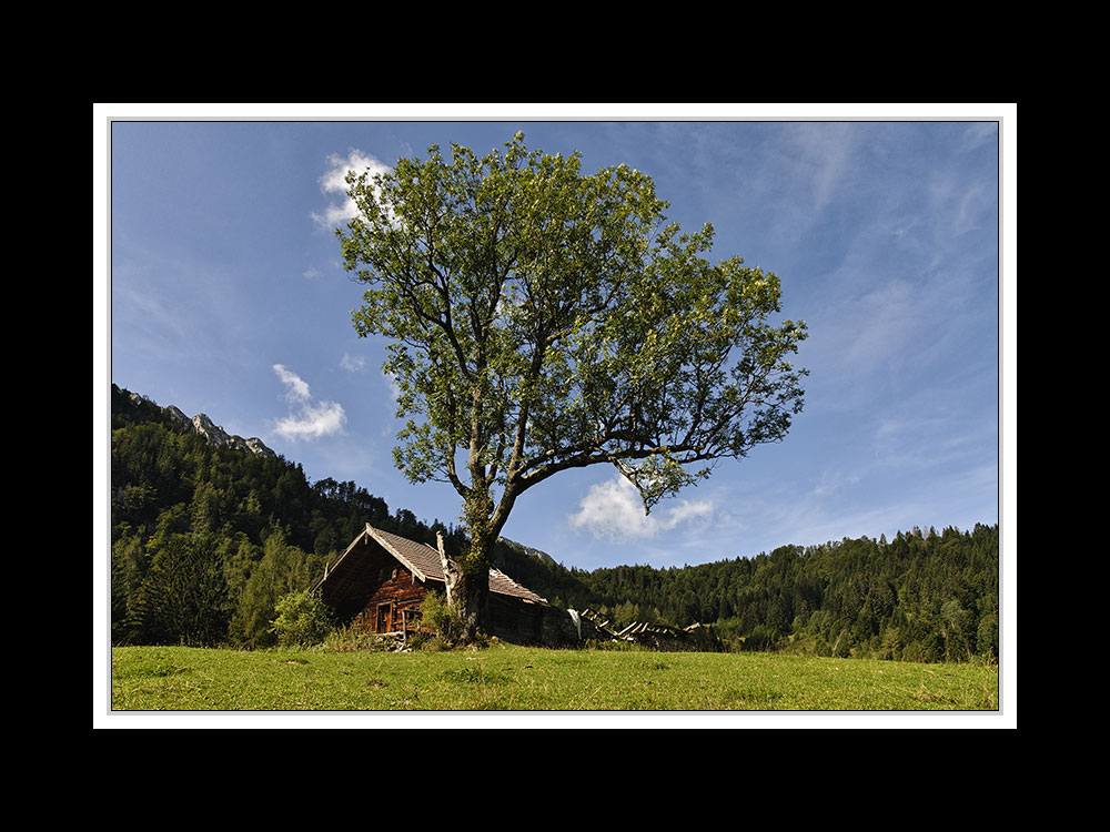 Die verfallene Koch-Alm am Hochstaufen