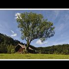 Die verfallene Koch-Alm am Hochstaufen