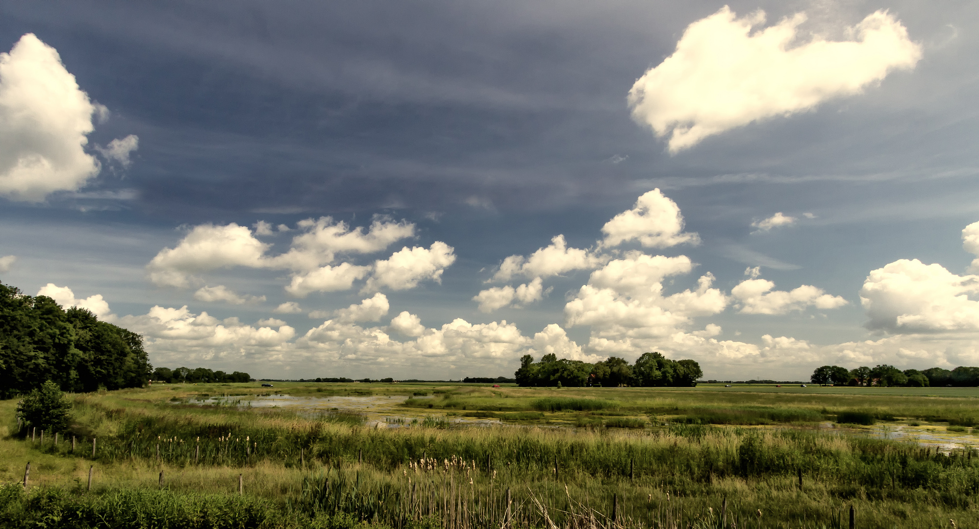 Die verfluchte und geliebte Zuyderzee (heutzutage IJsselmeer)