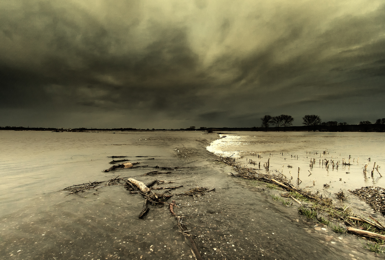 Die verfluchte und geliebte Zuyderzee (heutzutage IJsselmeer)