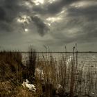 Die verfluchte und geliebte Zuyderzee (heutzutage IJsselmeer)