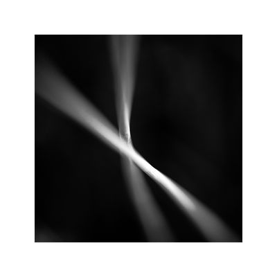 die Verfremdung des Schnittlauchs