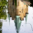 die vergänglichen Spuren eines Wasserfloh-Ballets