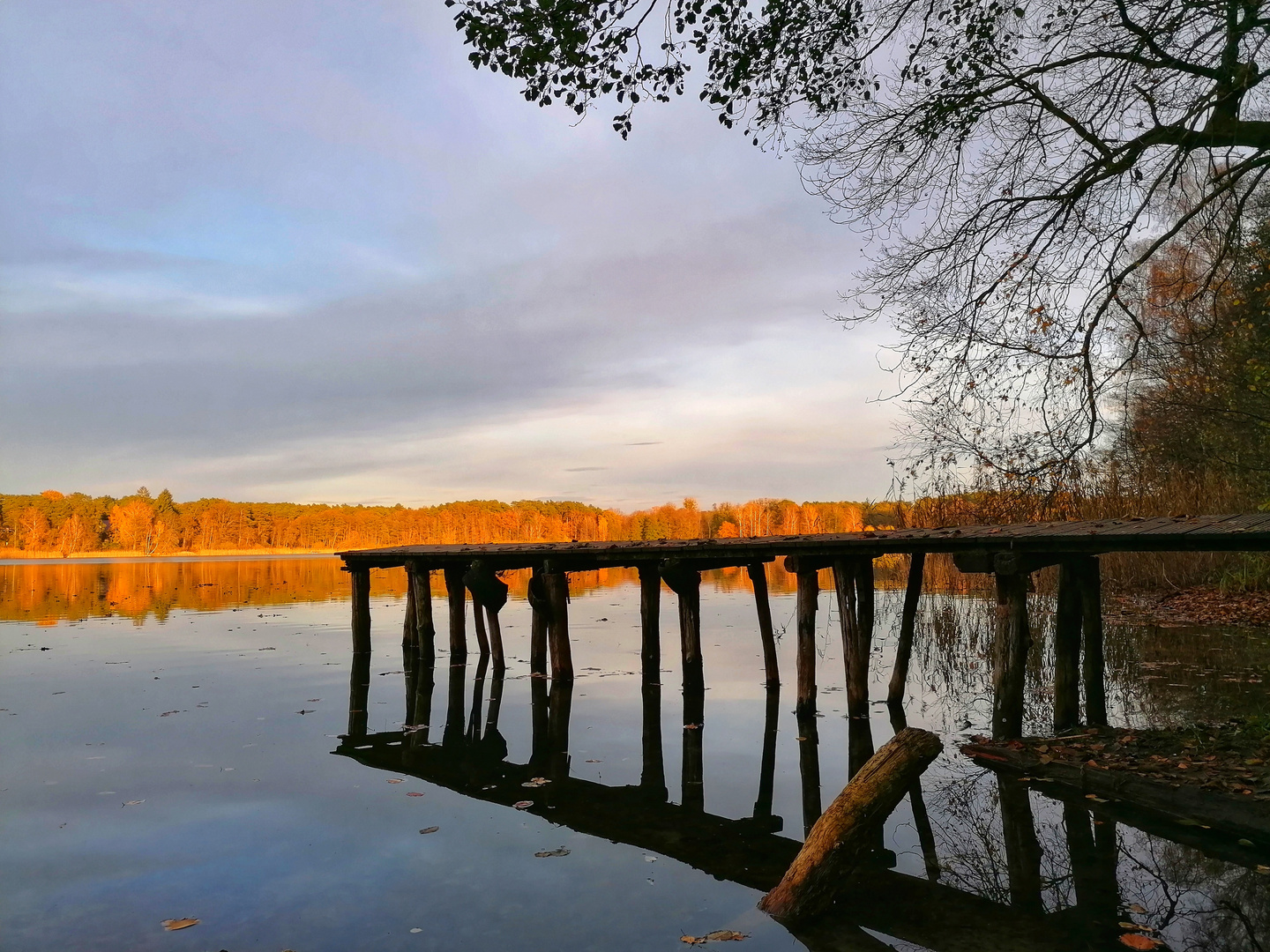 Die Vergänglichkeit des Herbstes 