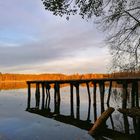 Die Vergänglichkeit des Herbstes 