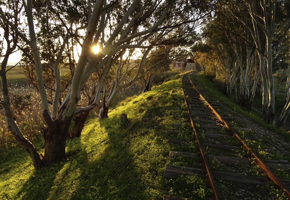 Die vergessene Eisenbahn