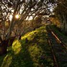 Die vergessene Eisenbahn