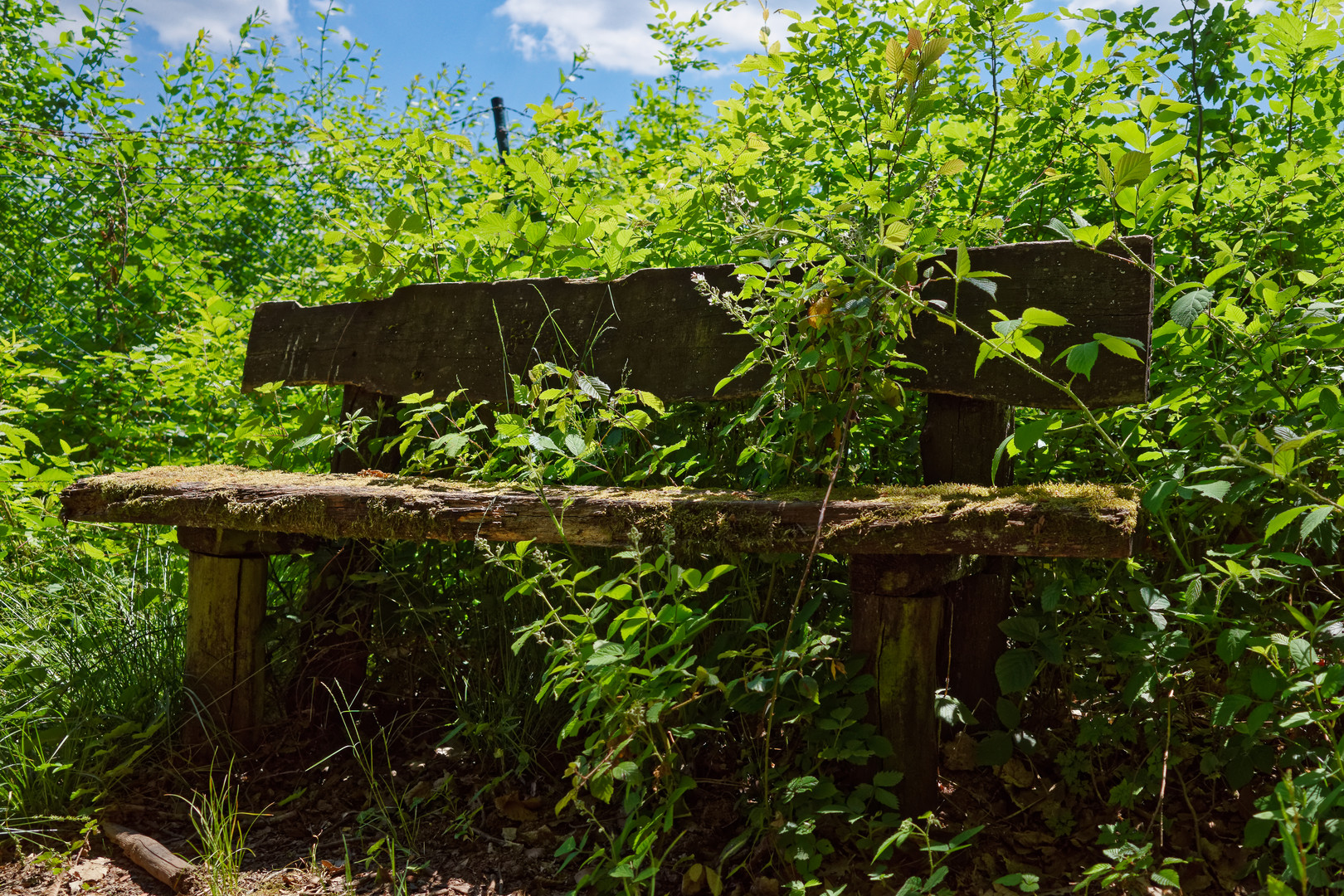 Die vergessene Holzbank