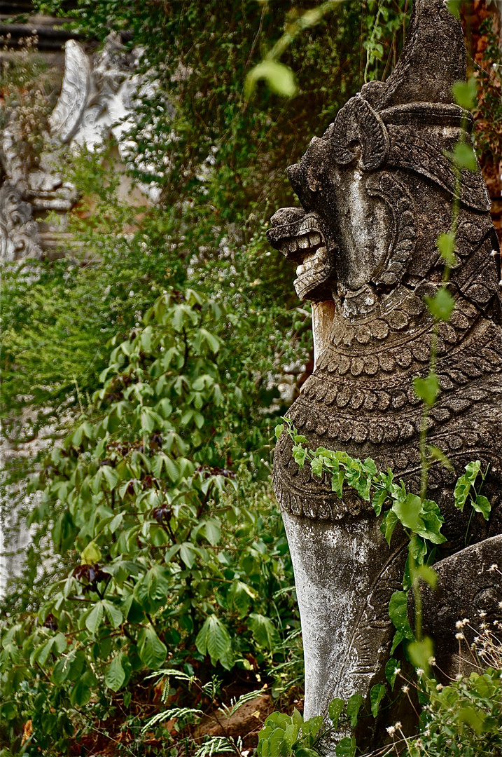 die vergessene welt II, bagan, burma 2011