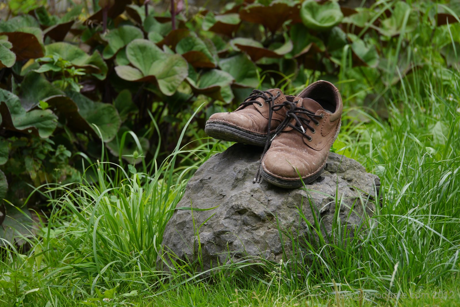 Die vergessenen Schuhe