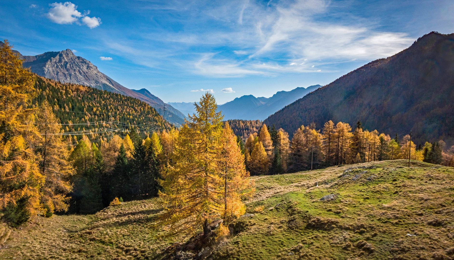 Die verlassene Alp