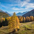 Die verlassene Alp