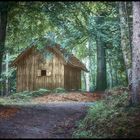 die verlassene Hütte am Waldweg