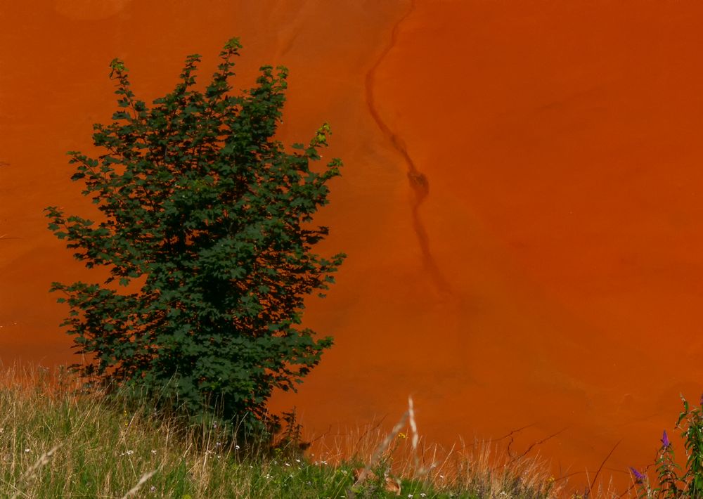 Die Verletzlichkeit der Natur