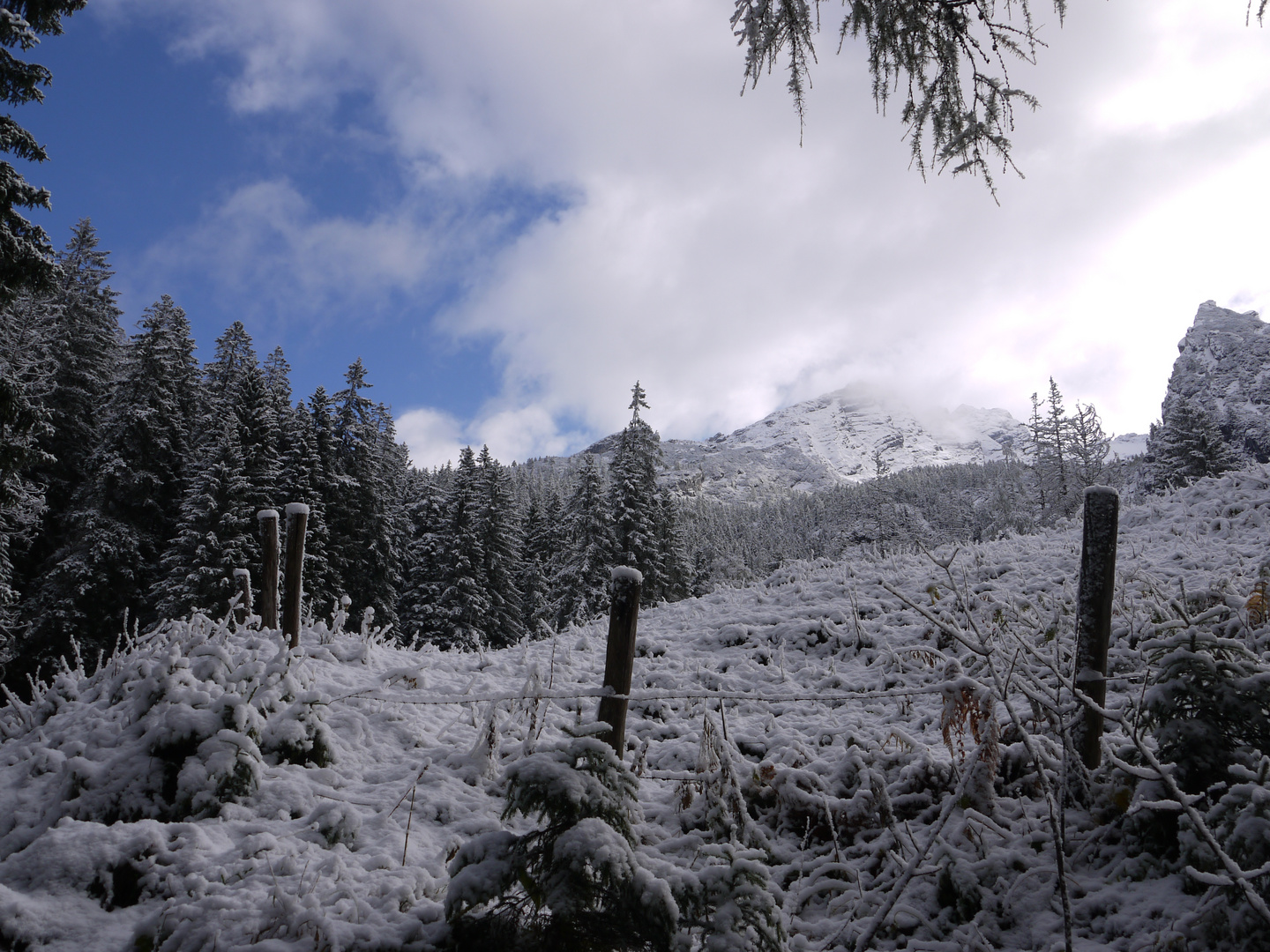 Die verschneite Winterlandschaft