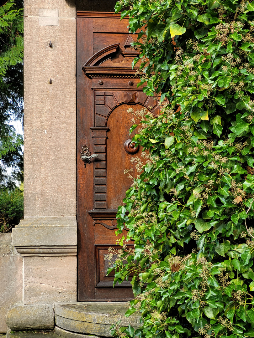 Die verstecke Tür