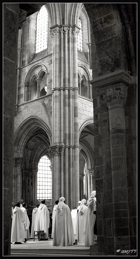 Die Vertikalen. Vezelay. Basilique Ste-Madeleine