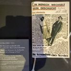 die Verwandlung der...