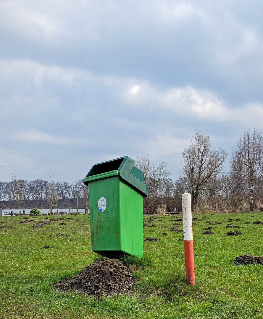 Die Viecher haben auch vor nix mehr Respekt