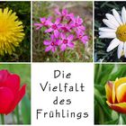 Die Vielfalt des Frühlings