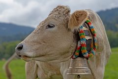 Die vielleicht Schönste im Allgäu