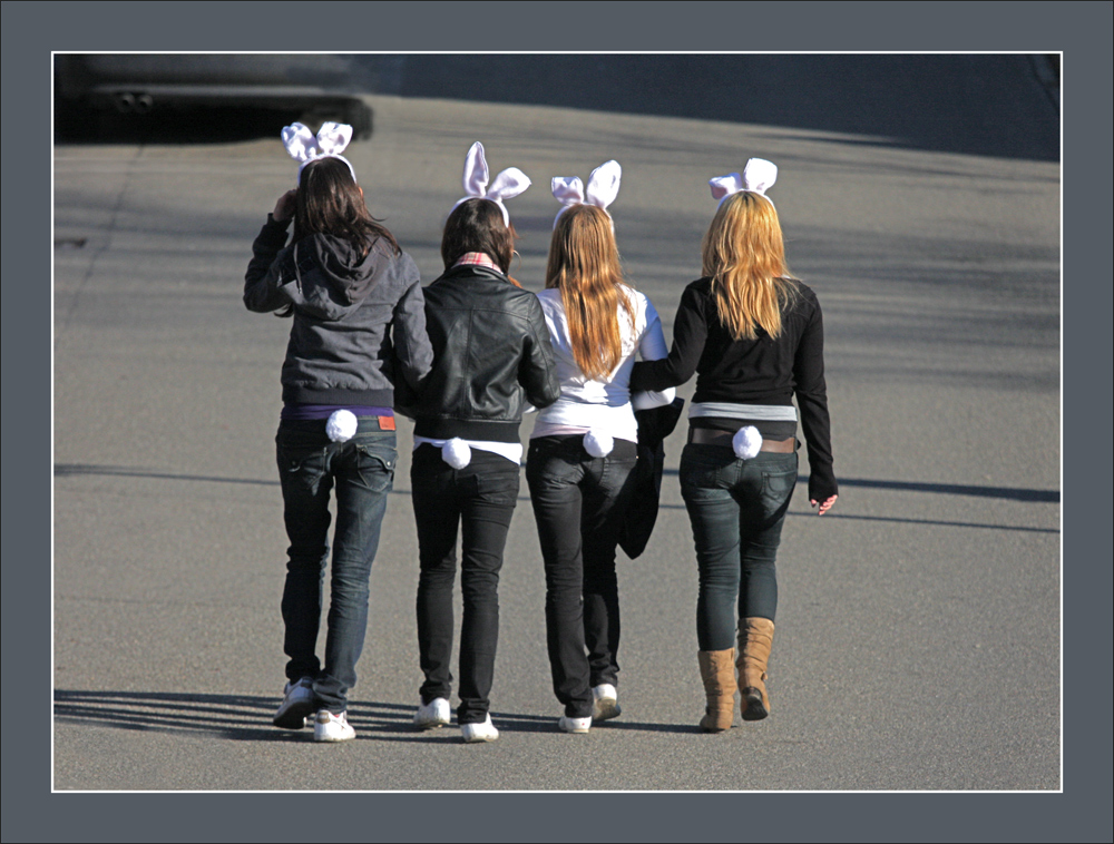 die vier Häschen der Urdorfer Fasnacht... ;-)