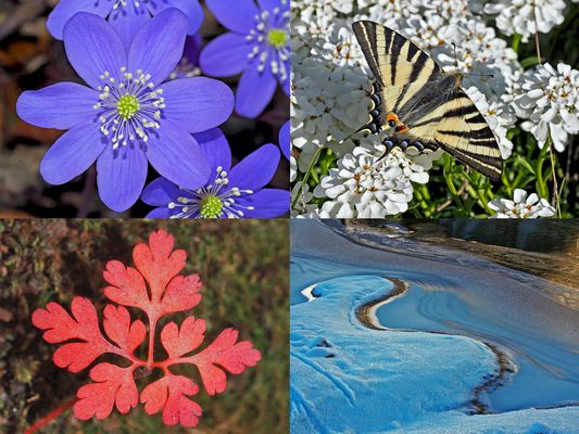 Die vier Jahreszeiten...