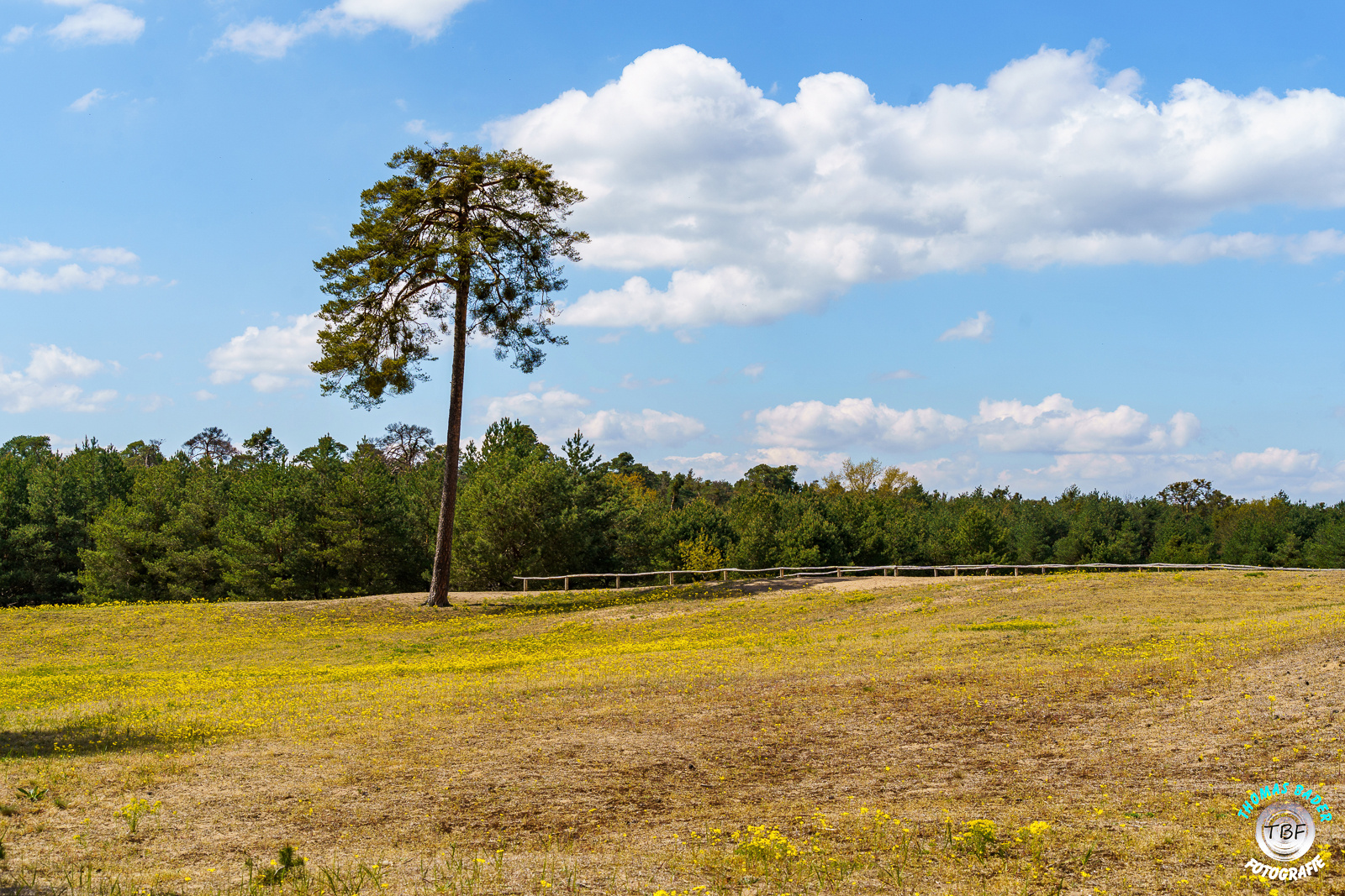 Die Vierheimer Heide...